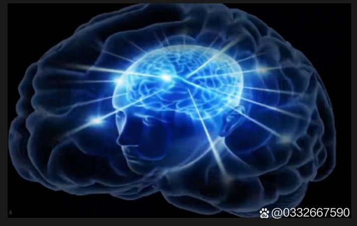 某对明星夫妻被曝已分居半年，各自精彩生活曝光令人唏嘘